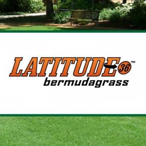 Sod Solutions Pro Latitude 36 Bermudagrass Logo Header