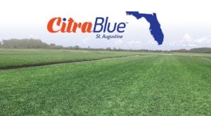 Sod Solutions Pro CitraBlue St. Augustine Projected Acreage