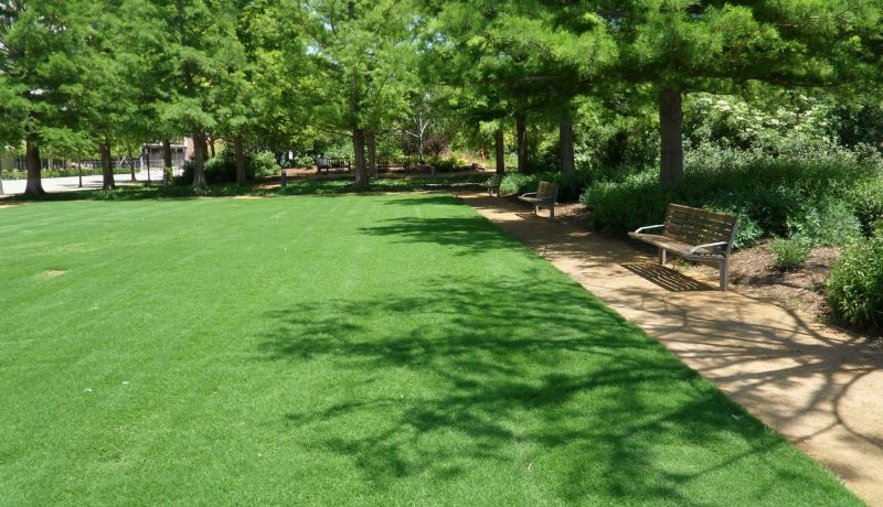Northbridge Bermudagrass Park Benches Next to Grass and Trees