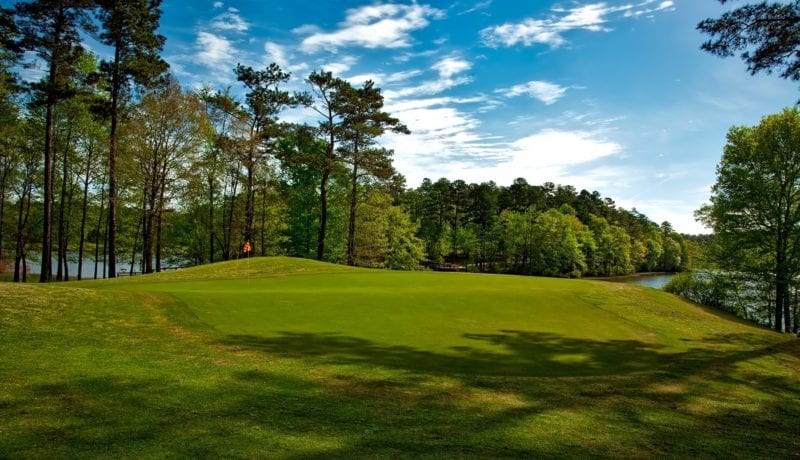 Golf Course with Blue Skys Clouds and Forest
