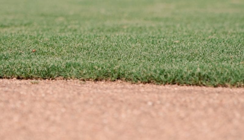 Texas A&M Baseball Field Turf Close Up