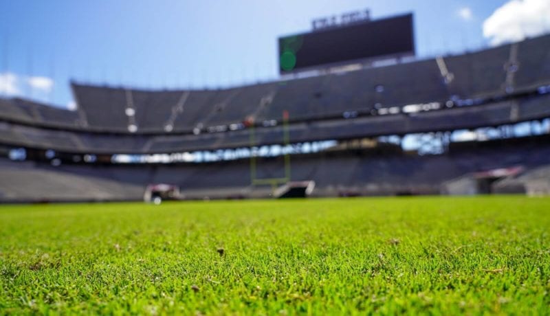 Texas A&M Football Stadium Close Up of Grass