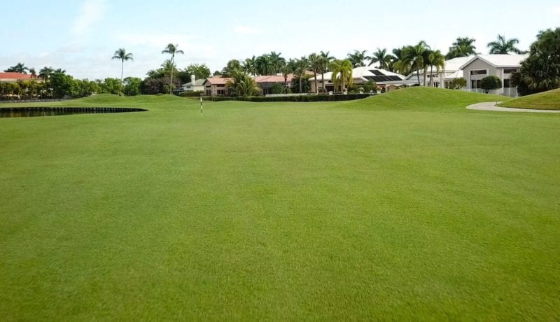Wycliffe Golf & Country Club Golf Field