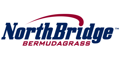 NorthBridge 500x250