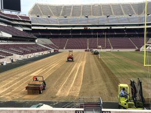 Thomas Turfgrass planted sprigs on Kyle Field at Texas A&M University in College Station.