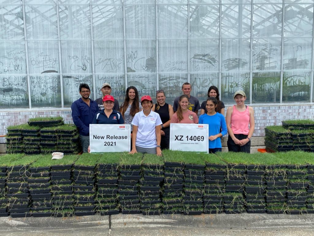 Dr. Susana Milla Lewis (center) and her team planted 1,500 72 cell plugs trays (108,000 individual plants).