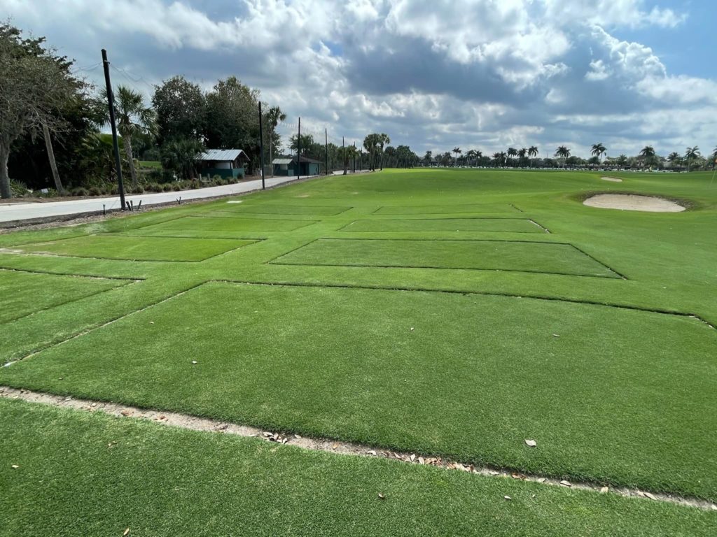 Overall Shot Of Celebration X Research Plots.