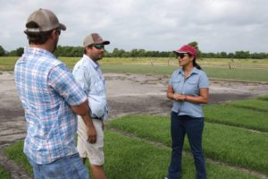 Dr. Ambika Chandra and Myles Kubicek discussing a plan for sod harvest of eight elite lines at his farm in Needville, TX.