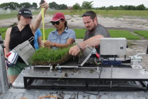 Texas A&M AgriLife team members (from left) are Dr. Chrissie Segars, Dr. Ambika Chandra and Justin Eads testing the strength of Cobalt in 2019.