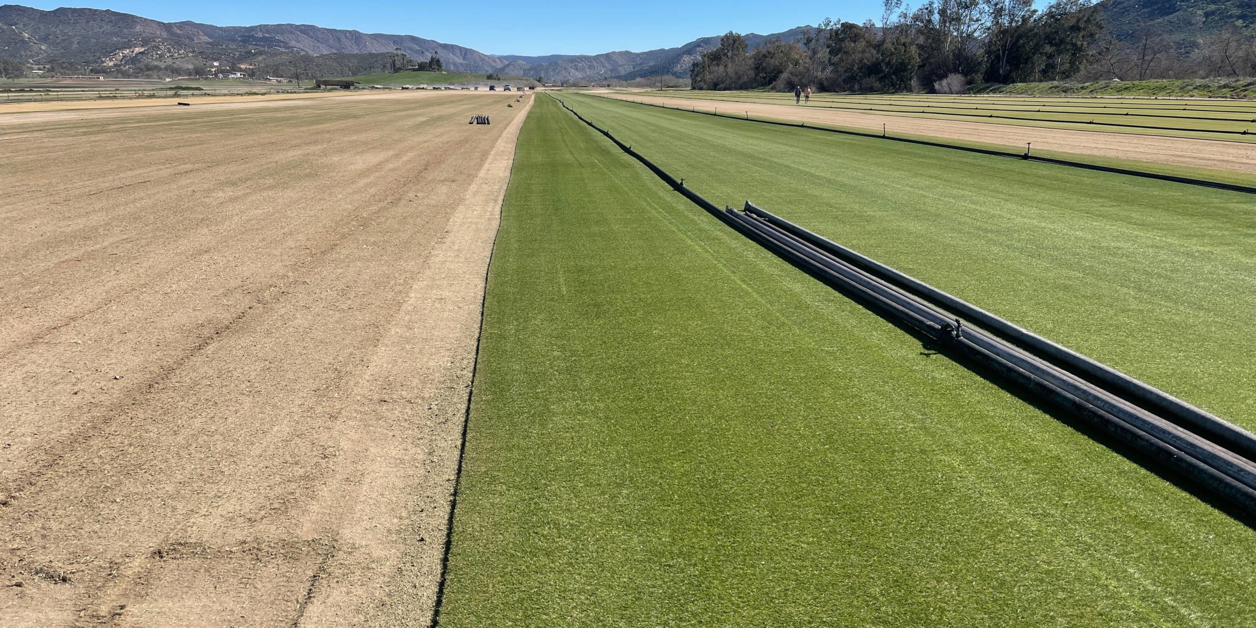 Growing for the Pros: Evergreen Turf Cultivates Success on the West Coast