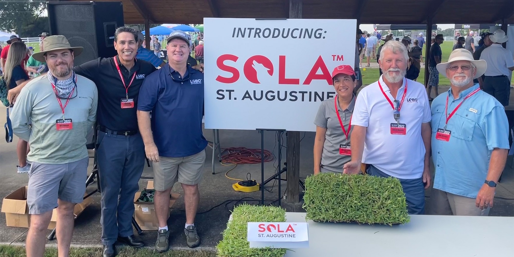 NC State University Releases Sola™, the Newest St. Augustinegrass