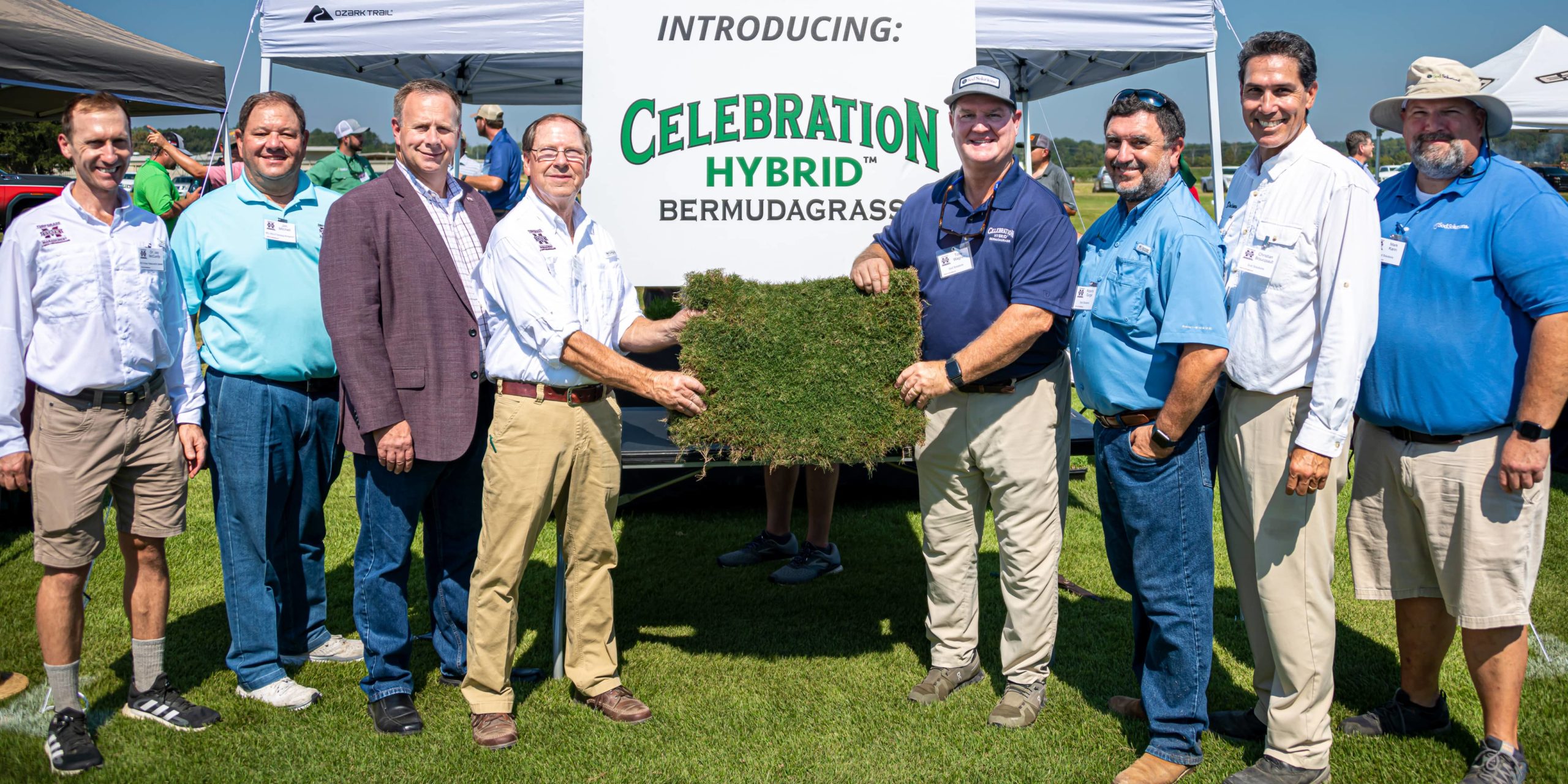 Mississippi State University Releases Celebration Hybrid™ Bermudagrass