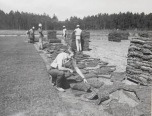 Jim Simpson cutting sod by hand in the early days of Simpson Sod Company.