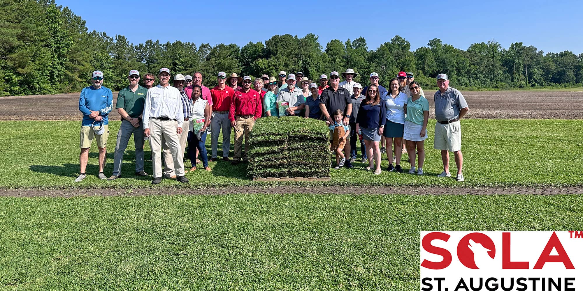 Licensing Period Opens for Sola™ St. Augustinegrass Following Successful Field Day at Oakland Plantation