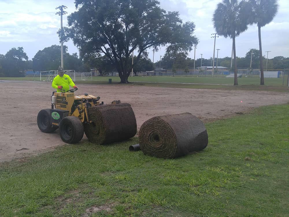 big rolls of sod for sports field