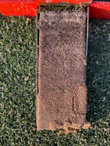 Soil profile of Latitude 36® Bermudagrass at Brooks Field.