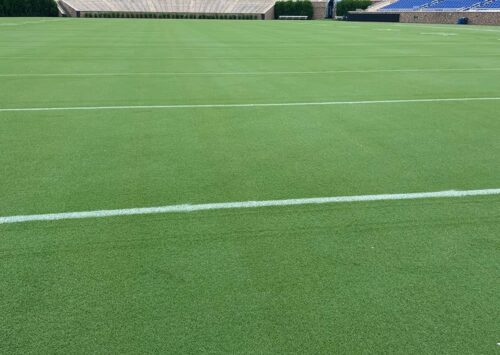 Latitude 36® Bermudagrass at Duke University.